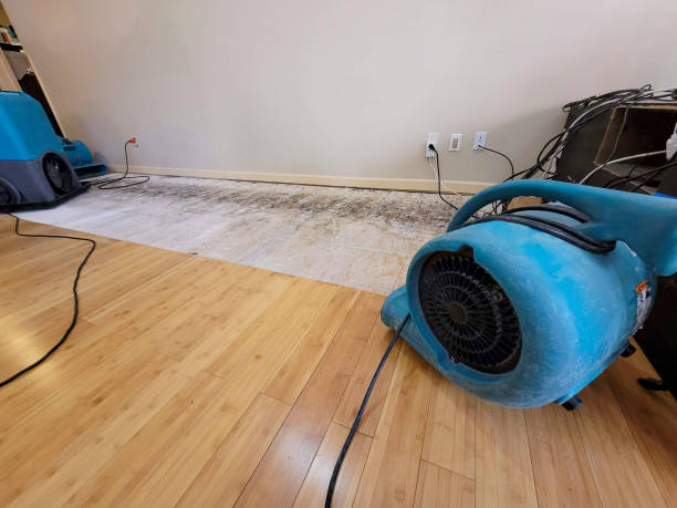 Professional Basement Flood Cleanup technician working in Hanceville, AL